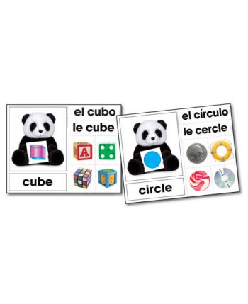 Shape Bears Photographic Learning Cards KE845024 