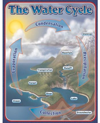 The Water Cycle Chart CD114053