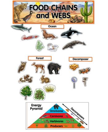 Food Chains and Webs Mini Bulletin Board Set CTP1767