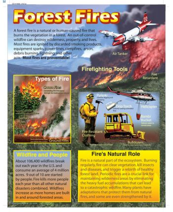 Forest Fires Chart CD414006