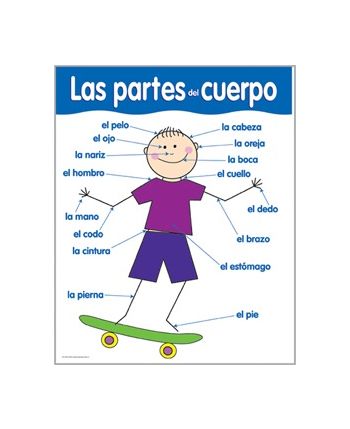 Spanish Parts of the Body Chart CTP5798