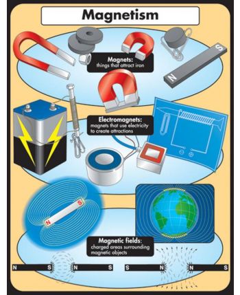 Magnetism Chart CD6429