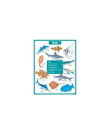 Fish Chart CD6389
