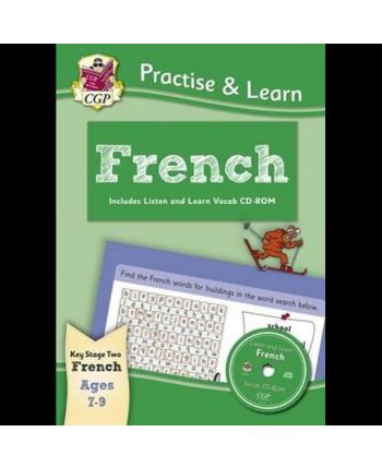 Practise and Learn: French with Vocab CD-ROM 